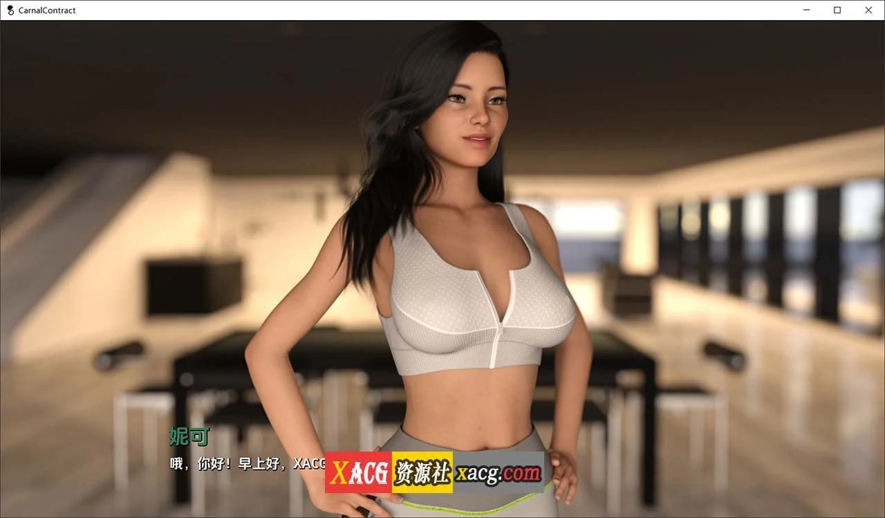 【欧美SLG/汉化/动态】世俗契约 ver0.9 Rework 汉化版【PC+安卓/4G】 畅玩游戏 预览第3张-XACG动漫资源社——中文ACG动漫游戏社区