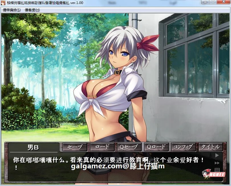 格斗美少女终极表现！汉化版+动态CG动画 [PC+安卓模拟/600M] 拔作ADV