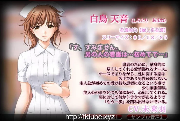 你所不知道的护士秘密！性的医院24时 汉化步兵版 全CG+动画 /ADV动态CG/【2G】