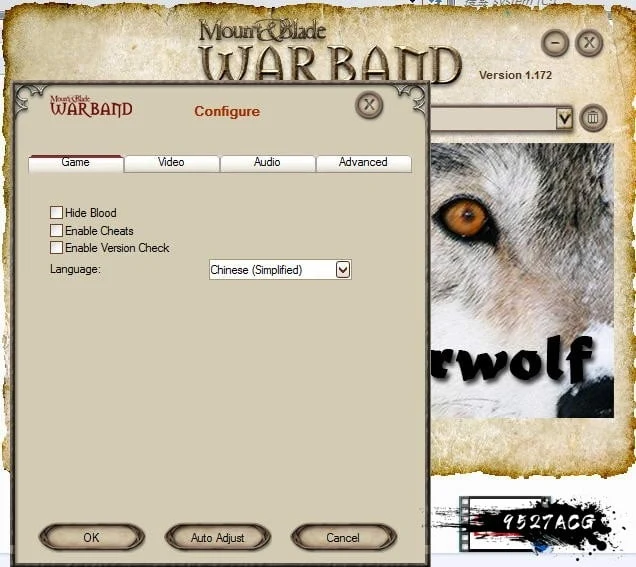 【沙盒RPG/汉化】骑马与砍杀-Warwolf 战狼 绅士MOD+破解【2.7G】 畅玩游戏 预览第4张