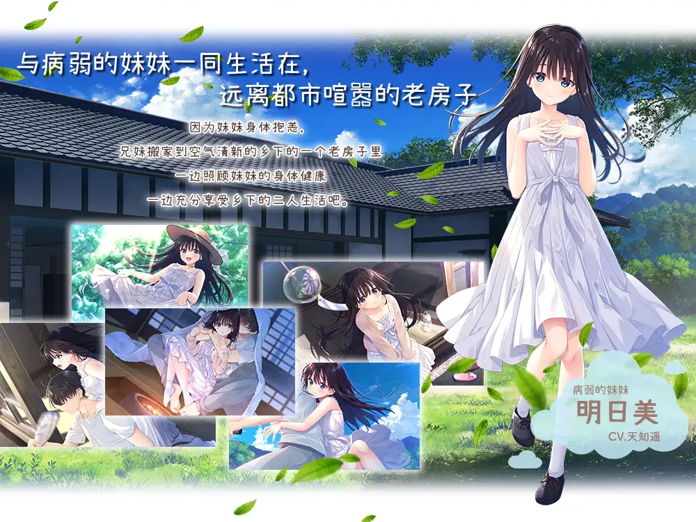 痴情哥哥与病弱妹妹的乡村生活 / Steam官方中文步兵版 [PC-RPG] （官中+动态无码） 微云网盘·直链下载