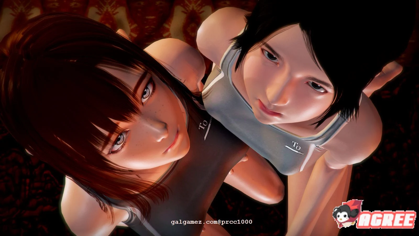昏暗之声~Noise V0.40 官方中文完整版 [大型RPG/步兵/情感纠葛] 多空