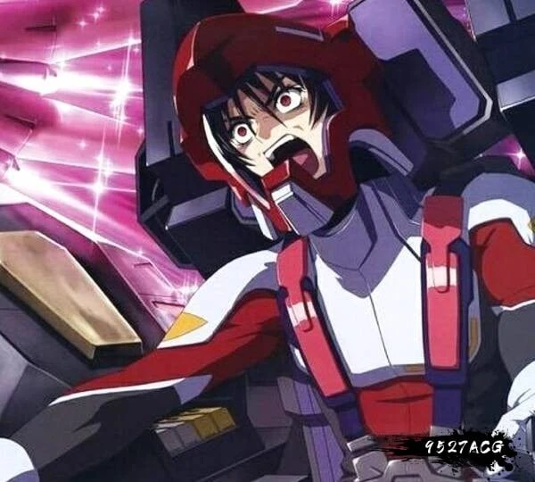 预览第2张