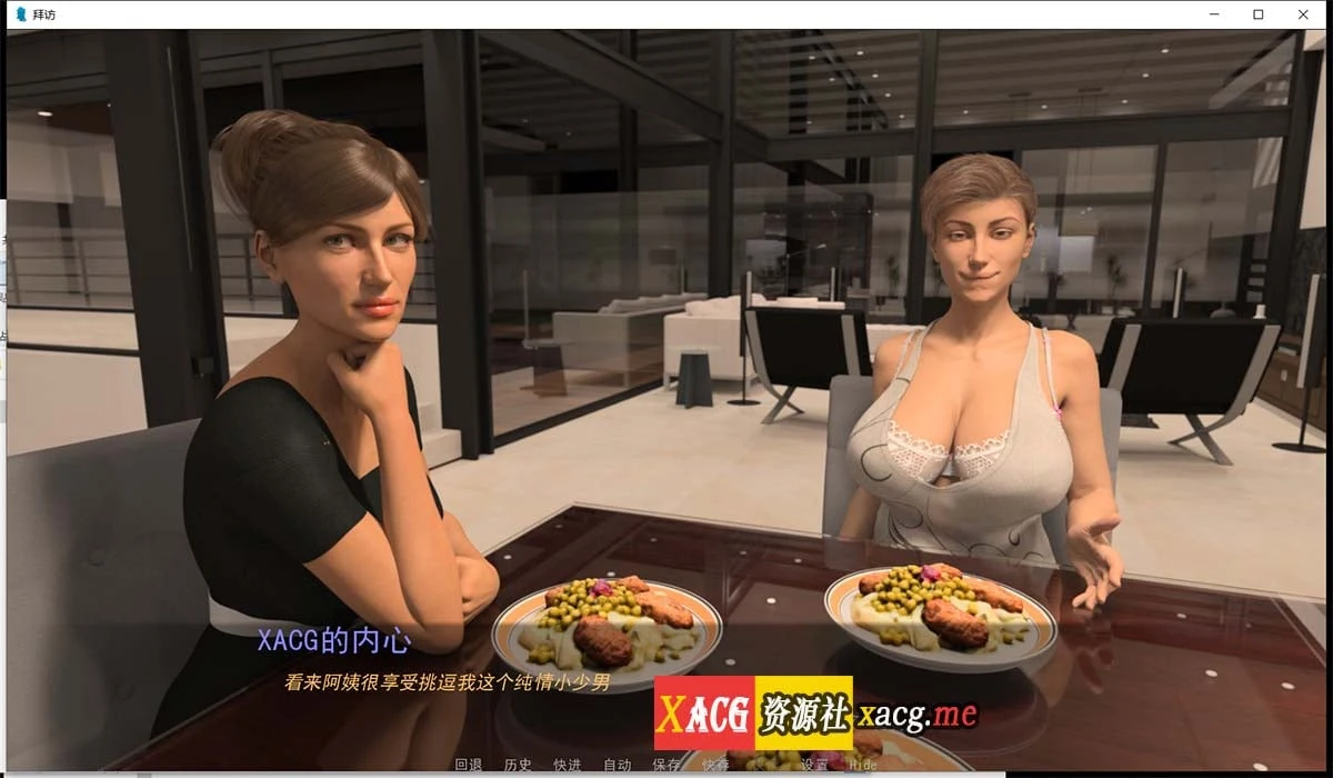 【后宫大作/汉化/官宣完结】The Visit-拜访 V1.0 官宣完结汉化版/攻略MOD【PC+安卓/动态/6G】 畅玩游戏 预览第6张-XACG动漫资源社——中文ACG动漫游戏社区 dd 3