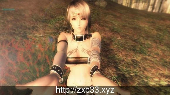 上古卷轴4:湮没 天际降临版[3D整合汉化动态] 绅士MOD大整合+各类随从/16G