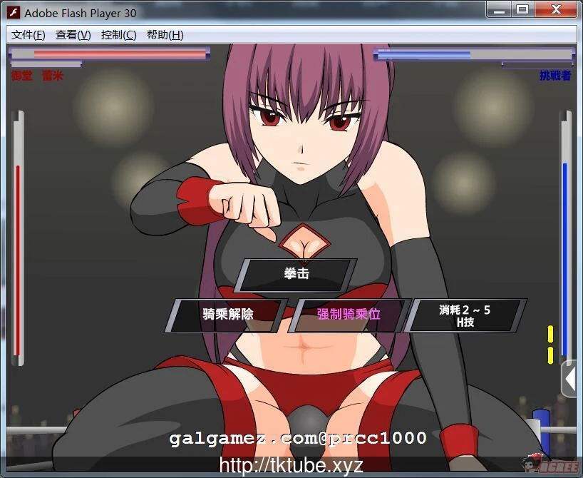 斗技女王蕾米【ACT/汉化/全动态】完整精翻汉化版[PC+安卓]/500M/新汉化