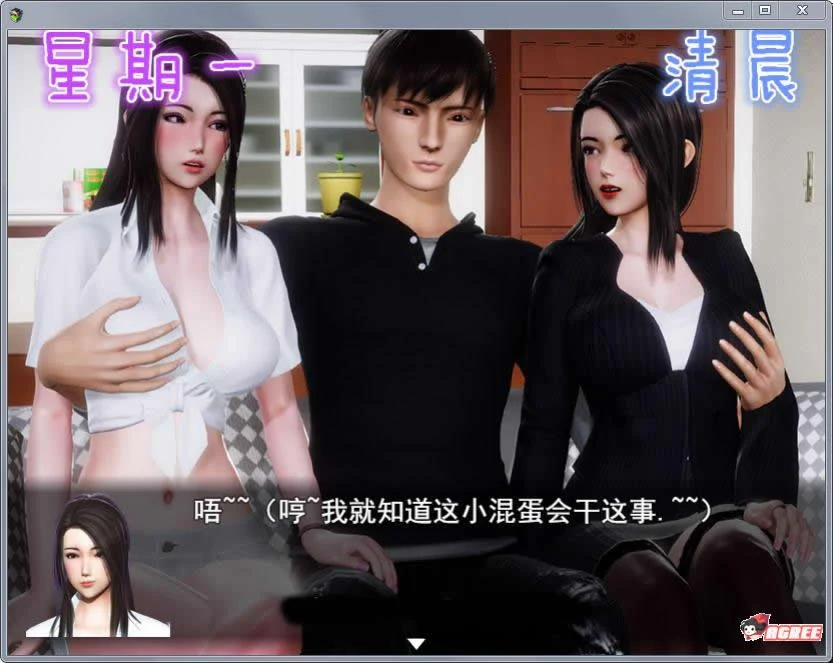 【国产RPG/中文/动态】风搔人生 Ver2.27 全DLC完整定制版【更新/PC+安卓】【3.6G】 畅玩游戏 预览第4张-XACG动漫资源社——中文ACG动漫游戏社区