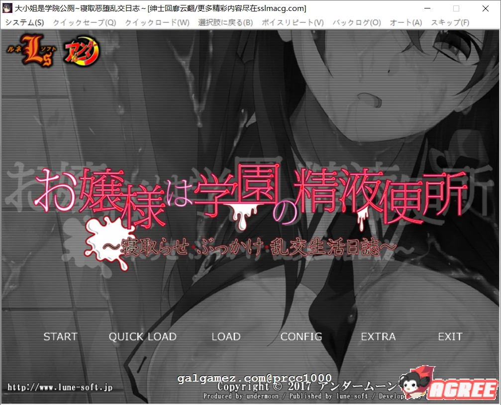 大小姐学院观察日记~情感变化记录 云翻汉化版 [ADV/1G] 汉化组出品